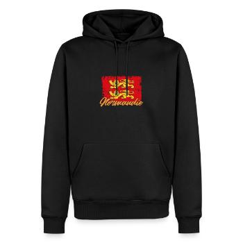 Normannisch Nordwesteuropa Normandie Region - Männer Premium Bio Hoodie - Schwarz - Vorne - Nico (187cm)