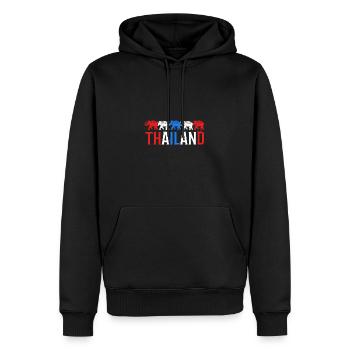 Thailand - Männer Premium Bio Hoodie - Schwarz - Vorne - Nico (187cm)