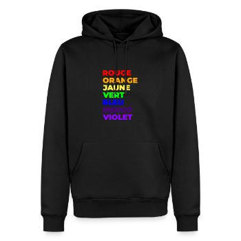 Couleurs de l'arc en ciel - Sweat à capuche Premium bio Homme - noir - Devant - Nico (187cm)