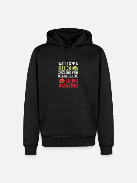 Geologe Geologie - Herre Premium økologisk hoodie - sort