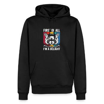 Je suis une joie, mème opossum sarcastique - Sweat à capuche Premium bio Homme - noir - Devant - Nico (187cm)