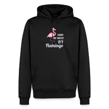 Flamingo - Männer Premium Bio Hoodie - Schwarz - Vorne - Nico (187cm)