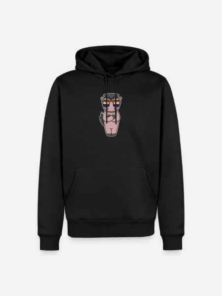Gay Regenbogen - Pferd mit Brille - Männer Premium Bio Hoodie - Schwarz