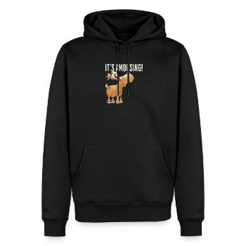Droll orignal motif animal Scandinavie dicton d’orignal - Sweat à capuche Premium bio Homme - noir - Devant - Nico (187cm)