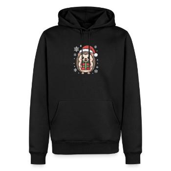 Weihnachtsigel Mit Nikolausmütze Und Paket - Männer Premium Bio Hoodie - Schwarz - Vorne - Nico (187cm)
