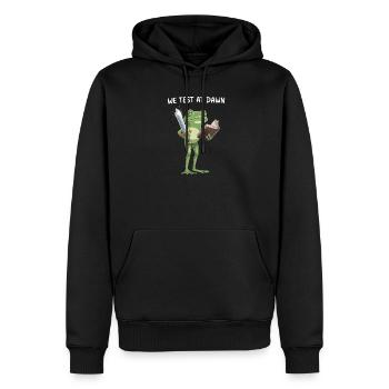 Dawn Quest Frosch: Schwert & Buch - Männer Premium Bio Hoodie - Schwarz - Vorne - Nico (187cm)