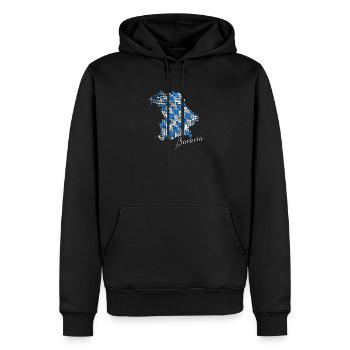Carte Bavière Bavière Diamants Bleu Blanc - Sweat à capuche Premium bio Homme - noir - Devant - Nico (187cm)