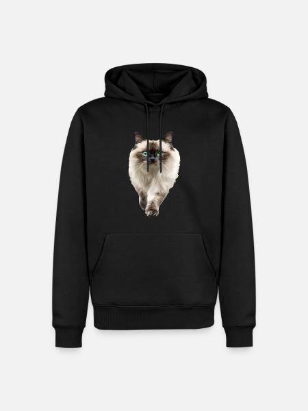 Himalaya - Männer Premium Bio Hoodie - Schwarz