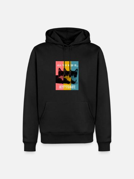 Kittens (colour) - Men’s Premium Organic Hoodie - black
