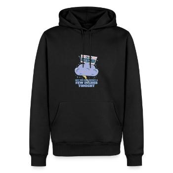 Je ne suis pas un météorologue - attendez-vous à ce qu’il y en ait quelques-uns - Sweat à capuche Premium bio Homme - noir - Devant - Nico (187cm)
