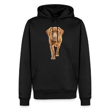 Labrador Retriever - Männer Premium Bio Hoodie - Schwarz - Vorne - Nico (187cm)