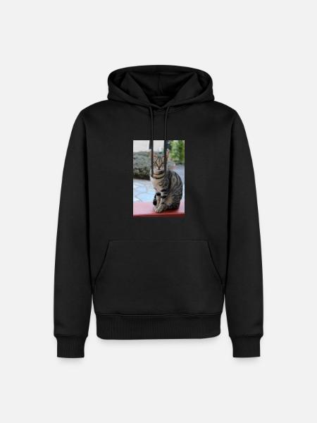 cat, kitten - Men’s Premium Organic Hoodie - black