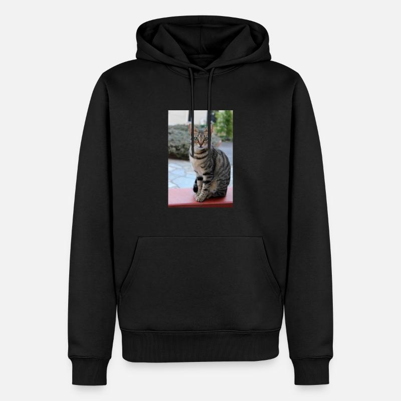 chat, chaton - Sweat à capuche Premium bio Homme - noir