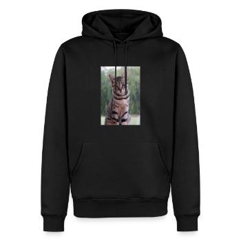 Chat chat chaton doux - Sweat à capuche Premium bio Homme - noir - Devant - Nico (187cm)