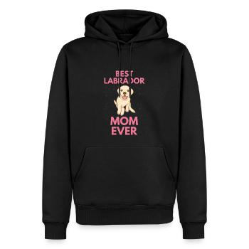 Meilleur Labrador Mama Cadeau de fête des mères Labrador - Sweat à capuche Premium bio Homme - noir - Devant - Nico (187cm)