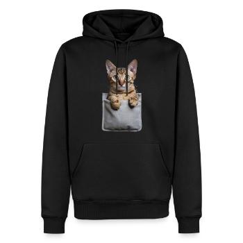 Abessinierkatze in der Tasche Geschenk - Männer Premium Bio Hoodie - Schwarz - Vorne - Nico (187cm)