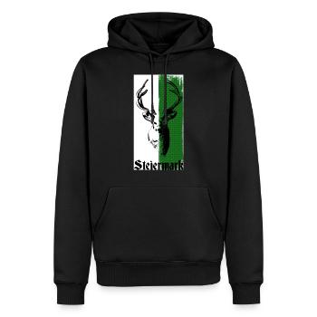 Styria - Men’s Premium Organic Hoodie - black - Front - Nico (187cm)