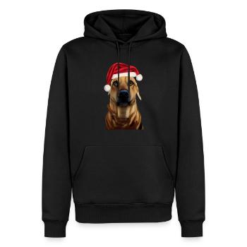 Black Mouth Cur Weihnachten - Männer Premium Bio Hoodie - Schwarz - Vorne - Nico (187cm)