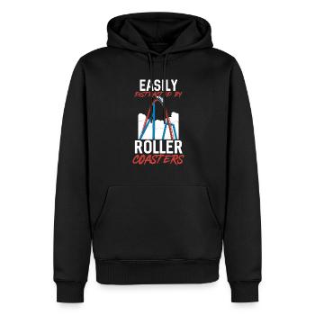 Achterbahn Rollercoaster Freizeitpark - Männer Premium Bio Hoodie - Schwarz - Vorne - Nico (187cm)