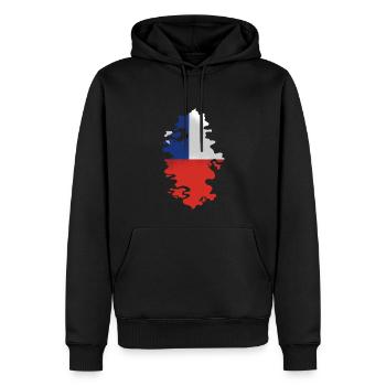 Chili Drapeau Amérique du Sud Drapeau Chili Vintage - Sweat à capuche Premium bio Homme - noir - Devant - Nico (187cm)