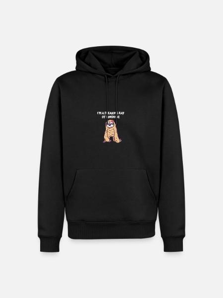 I'm a fucking ray of sunshine from funny s - Men’s Premium Organic Hoodie - black