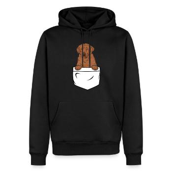 Foxred Labrador Fox Red Labrador Retriever - Men’s Premium Organic Hoodie - black - Front - Nico (187cm)