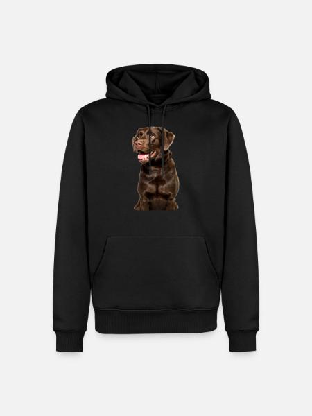 Loyal labrador, hund motiv hund - Herre Premium økologisk hoodie - sort
