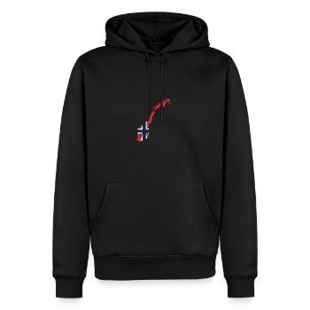 Norway Flag vintage - Sweat à capuche Premium bio Homme - noir - Devant - Nico (187cm)