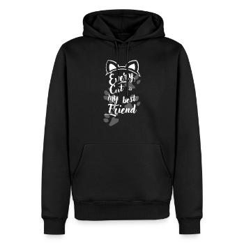 hübsche liebliche Katzen - Männer Premium Bio Hoodie - Schwarz - Vorne - Nico (187cm)
