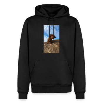 PXL 20221217 140939962 - Sweat à capuche Premium bio Homme - noir - Devant - Nico (187cm)