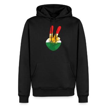 Kurdistan - Sweat à capuche Premium bio Homme - noir - Devant - Nico (187cm)
