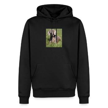 Delta - Männer Premium Bio Hoodie - Schwarz - Vorne - Nico (187cm)