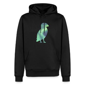 Puffin Island Papageitaucher Iceland Aurora - Männer Premium Bio Hoodie - Schwarz - Vorne - Nico (187cm)