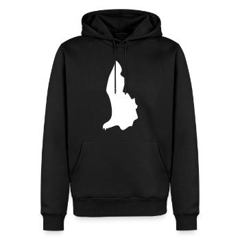 Liechtenstein Landkarte Flagge - Männer Premium Bio Hoodie - Schwarz - Vorne - Nico (187cm)
