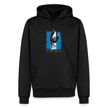 Guatemaltekisch Vogel Paradiesvogel Quetzal - Männer Premium Bio Hoodie - Schwarz - Vorne - Nico (187cm)