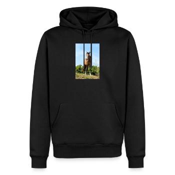 Affiche Cheval Cheval - Sweat à capuche Premium bio Homme - noir - Devant - Nico (187cm)