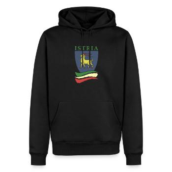 Istrien Tourist Hrvatska Kroatein Urlaub Balkan Re - Männer Premium Bio Hoodie - Schwarz - Vorne - Nico (187cm)