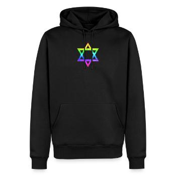 Arc en ciel étoile de David - Sweat à capuche Premium bio Homme - noir - Devant - Nico (187cm)