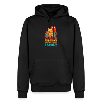 Nous sommes la famille dysfonctionnelle parfaite - Sweat à capuche Premium bio Homme - noir - Devant - Nico (187cm)