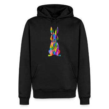 Rabbit Colorful Rabbit - Men’s Premium Organic Hoodie - black - Front - Nico (187cm)