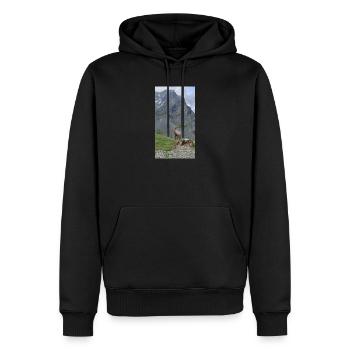 Bouquetin des Alpes - Sweat à capuche Premium bio Homme - noir - Devant - Nico (187cm)