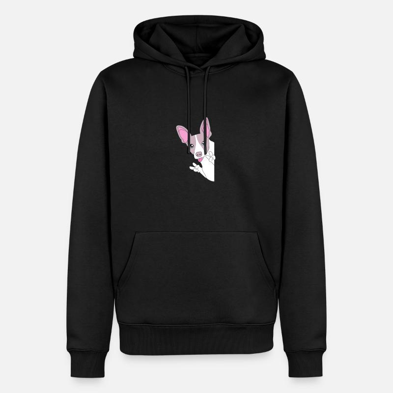 Rat Terrier - Sweat à capuche Premium bio Homme - noir