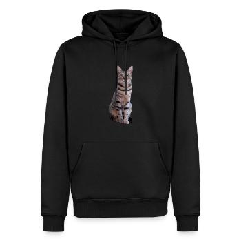 Katze Kätzchen Tigerkatze Katzenshirt Geschenk - Männer Premium Bio Hoodie - Schwarz - Vorne - Nico (187cm)