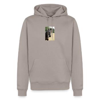Pferde - Männer Premium Bio Hoodie - Taupe - Vorne - Nico (187cm)
