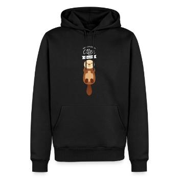 Mein Offizielles Otter Schlafshirt - Pyjama - Männer Premium Bio Hoodie - Schwarz - Vorne - Nico (187cm)