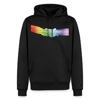 Aiguilles arc-en-ciel Corona - Sweat à capuche Premium bio Homme - noir - Devant - Nico (187cm)