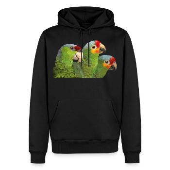 Red-fronted Amazon and lilac-crowned parrot - Men’s Premium Organic Hoodie - black - Front - Nico (187cm)