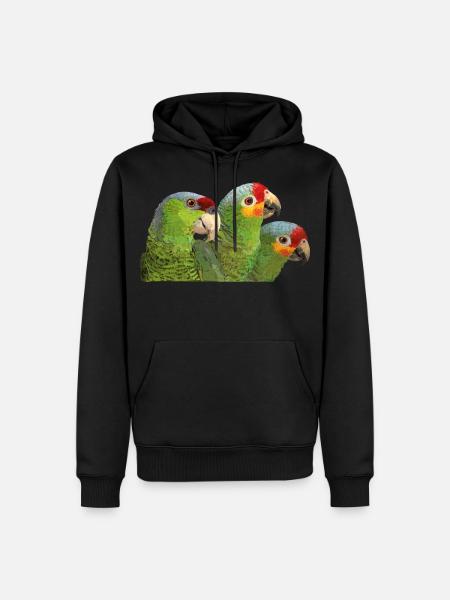 Red-fronted Amazon and lilac-crowned parrot - Men’s Premium Organic Hoodie - black