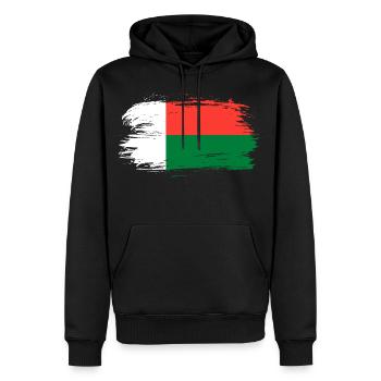 Madagaskar Flagge Fahne - Männer Premium Bio Hoodie - Schwarz - Vorne - Nico (187cm)