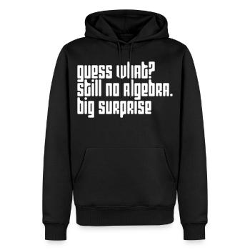 Zum Nachdenken anregendes Algebra-Zitat-Design - Männer Premium Bio Hoodie - Schwarz - Vorne - Nico (187cm)